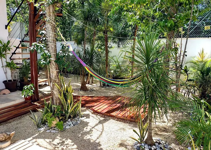 Tucanes *