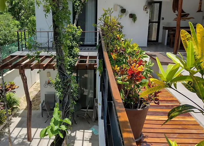 Tucanes Tulum