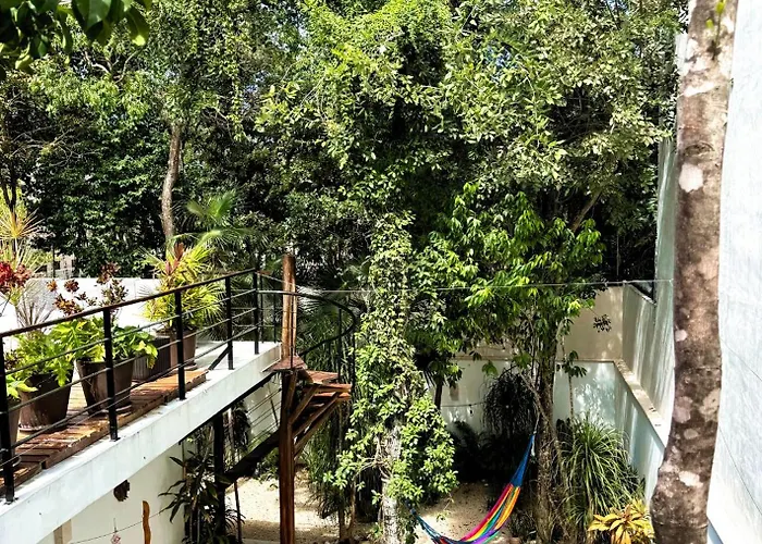 Tucanes
