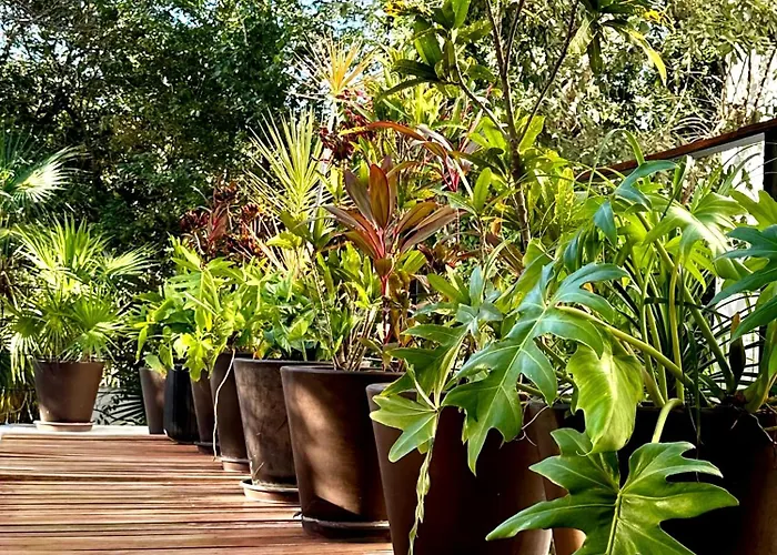 Tucanes Villa