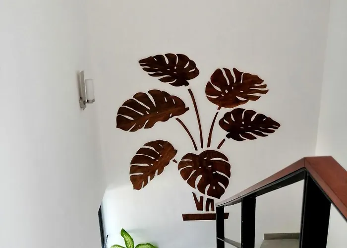 Tucanes